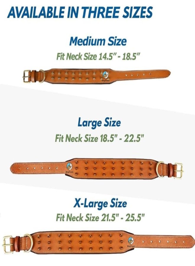 KittuPetSpiked Studded Dog Collar, Big Sharp Spike Dog Collars, Geniune Leather, Neck Protection from Bite, Adjustable, Fit Pitbull Doberman German Shepherd, for Medium Large Dogs - Image 3